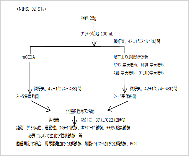図2. NIHSJ-02-ST3