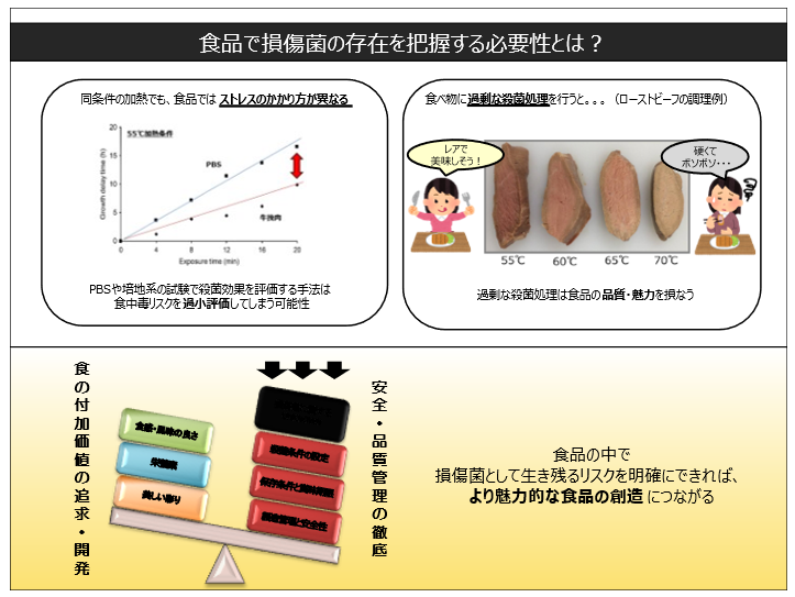 定量PCR法を活用した損傷菌の損傷度評価法の開発：スライド3