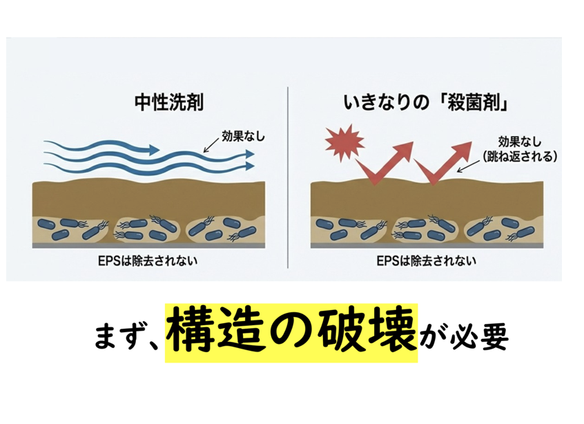 図：中性洗剤といきなりの殺菌剤の比較、まず構造の破壊が必要